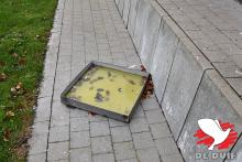 Bad voor de duiven.