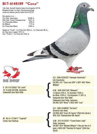 B17-6148189  “Coca”