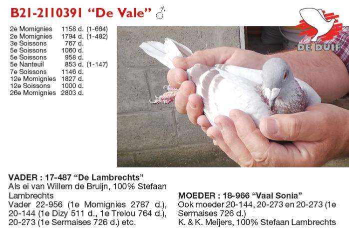 B21-2110391 “De Vale”