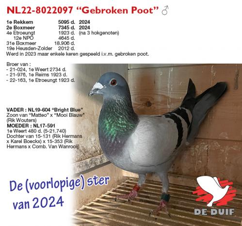 NL22-8022097 “Gebroken Poot”