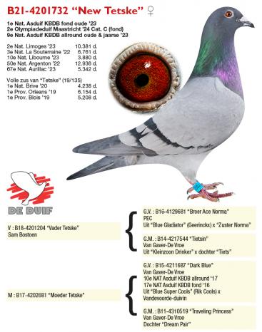 B21-4201732 “New Tetske”