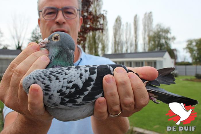 De tienjarige wereldtopper “Armando”, nog steeds in goeden doen.