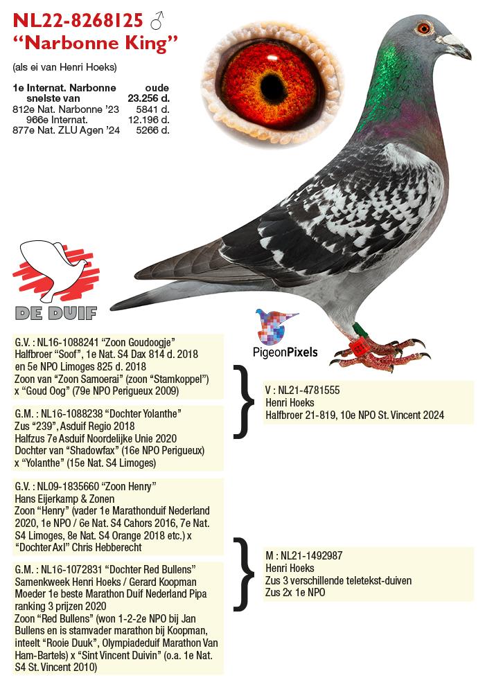 NL22-8268125 “Narbonne King”