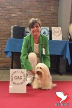 Linda en haar Havanezer “Whitley”. Samen liepen ze 23 (internationale) shows die ze allemaal winnend afsloten! 