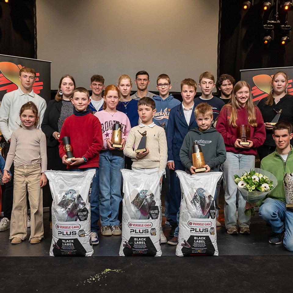 Gouden Duif Junior