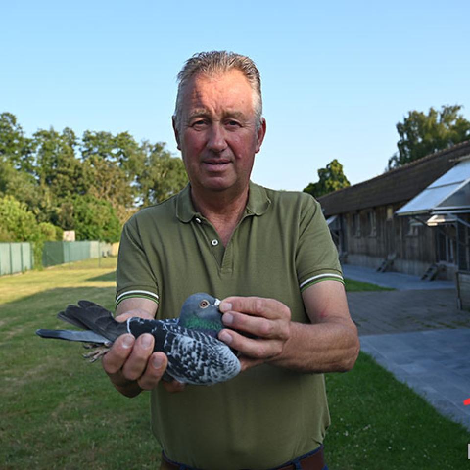 clicque-gino-2025a-1.jpg