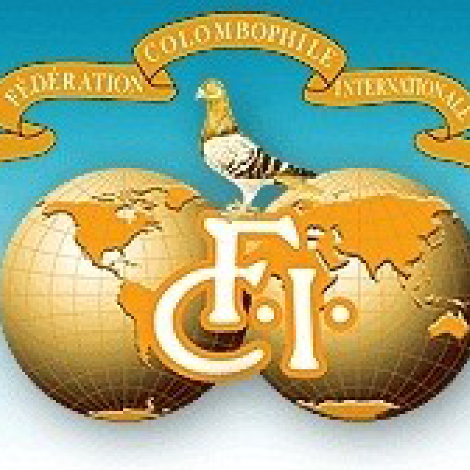 fci.png