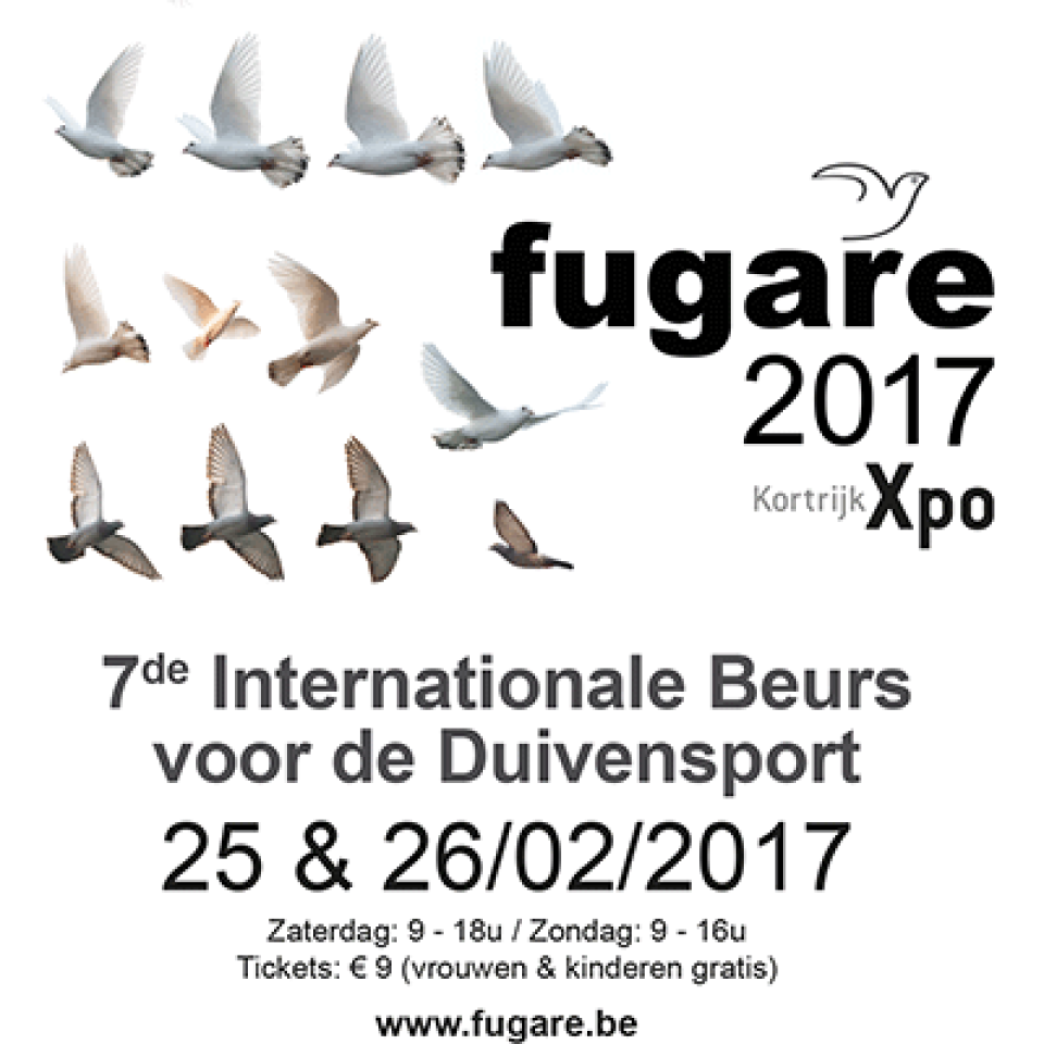 fugare2017.png