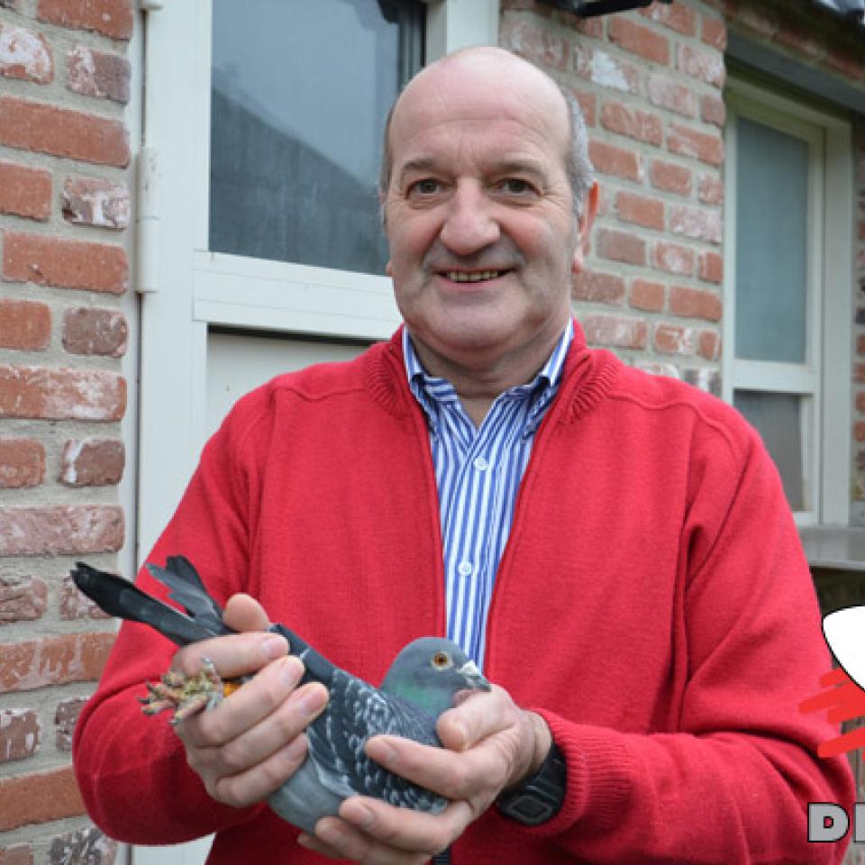 hebberecht-chris-2016-1.jpg