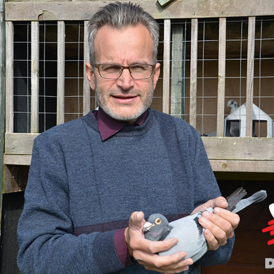 janssens-eddy-2017-1.jpg