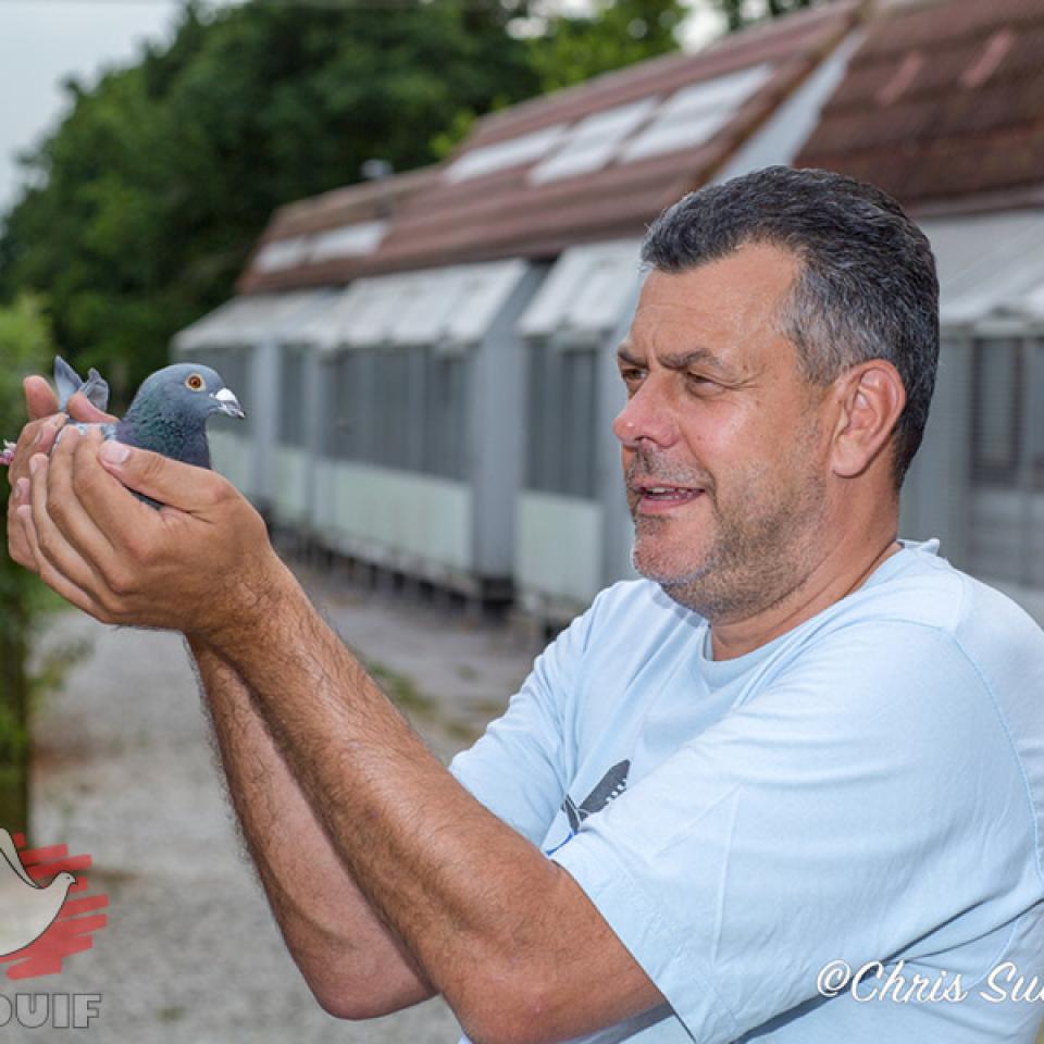 mark-gilbert-argen-2018.jpg