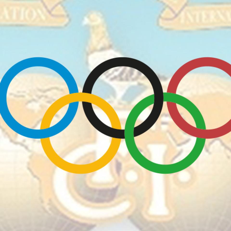 olympiade-jaar-later.jpg