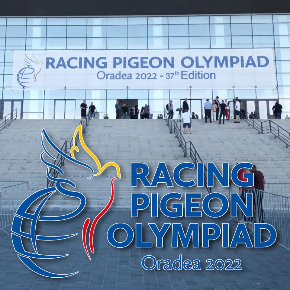 olympiade-oradea.jpg