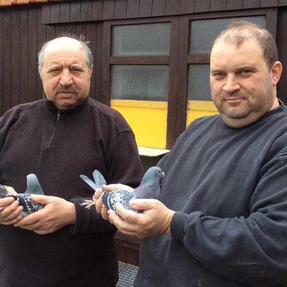 pollin-marc-11.jpg