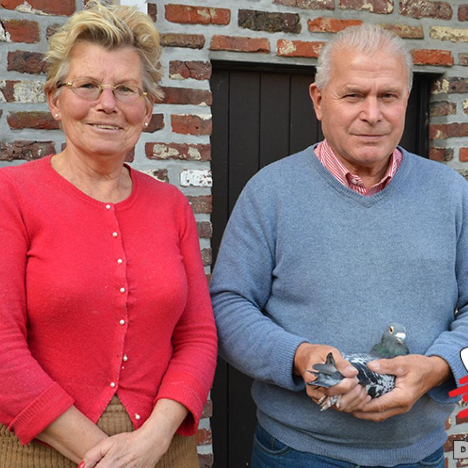 vaernewyck-andre-2016-1.jpg