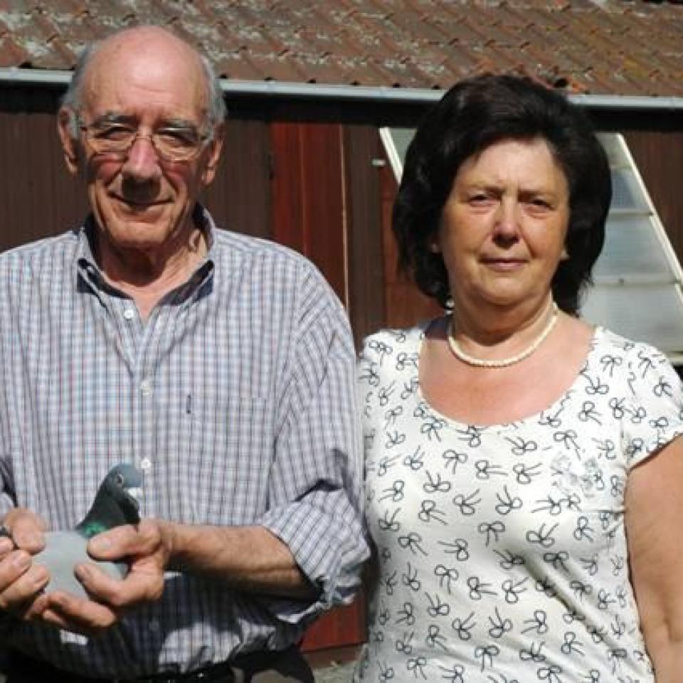 verdonck.jpg