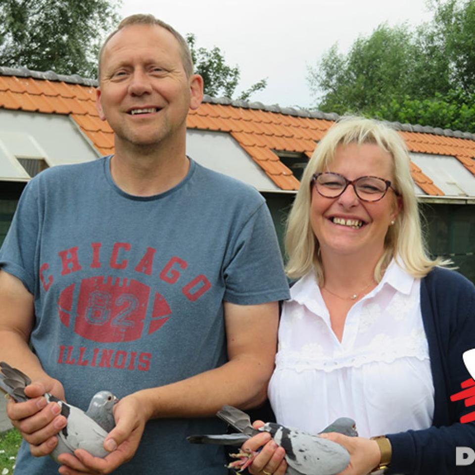 vergaerde-denolf-2019-1.jpg
