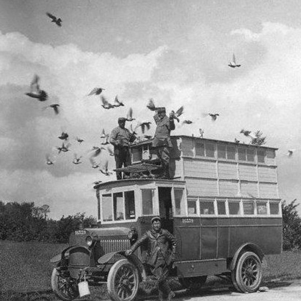 wo1-3a.jpg