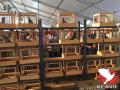 De top 10 zal worden geveild. / Top ten before the auction.