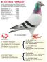 B12-3039213 ''CHARLIE''