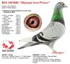 B20-3015680 “Olympic Iron Prince”