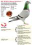 B23-3053450 “Olympic Ad Johan”