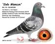NL15-184590 “Solo Warrior”