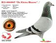 B23-6064047 “De Kleine Blauwe”