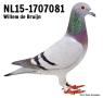 NL15-1707081, 3e Nationaal