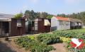 Achter de sierheesters en rozelaars verscholen staan de tuinhokken van Gaston. Dat is zijn “speeltuin” en daar brengt hij in de zomermaanden heel wat uren door.