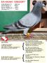 BE14-4063001 "Gregory"