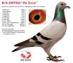 B10-2007030 De Zoon