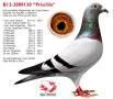 B12-2080130 PRISCILLA