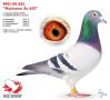 0901-09-655 “Nationen As 655”