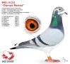 0901-14-213 “Olympic Mariola”
