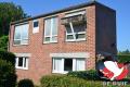 Het Hok (Fotografie: Yellow pigeons)