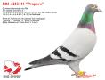 BE06-6212441 "De Propere"