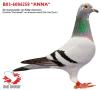 BE03-6086258 "Anna"