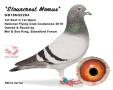 GB16N32264 “Stourcrest Momus”