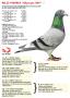 NL23-9168964 “Olympic 964”