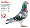 BE11-4078440 "Jens Favoriet"