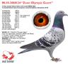 NL18-2060124 “Zoon Olympic Geert”