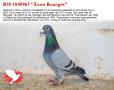 B10-1049967 “Zoon Bourges”