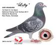 GB14N48909 "Lofty"