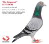 3177174-95 Crayonne