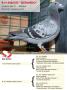 B14-4066385 Gerardo