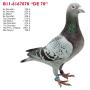 De 70