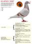 B12-6073015 Imke