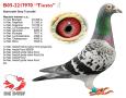 B05-2217970 “Tiesto”