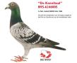 B95-6246005 KANNIBAAL